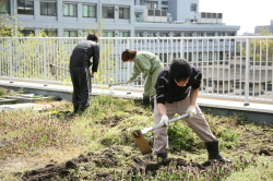 農業生産学教育コースの実習風景