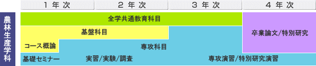 農林生産学科の履修モデル図