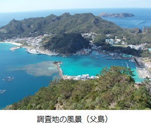 調査地の風景（父島）