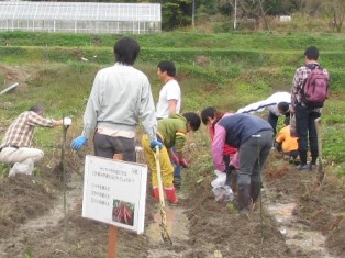 H26秋の農場一日開放日3.jpg