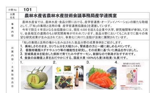 20211116-1 図1