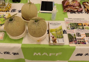 20211116-3 写真2
