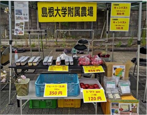 玉造ワクワク朝市写真