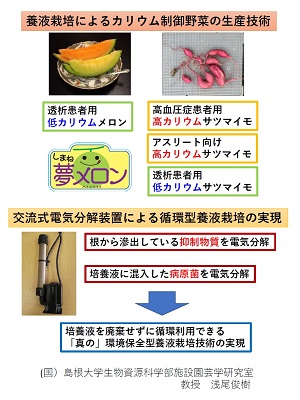 展示内容の概要 展示内容の概要