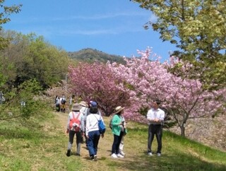 春の農場開放日写真１